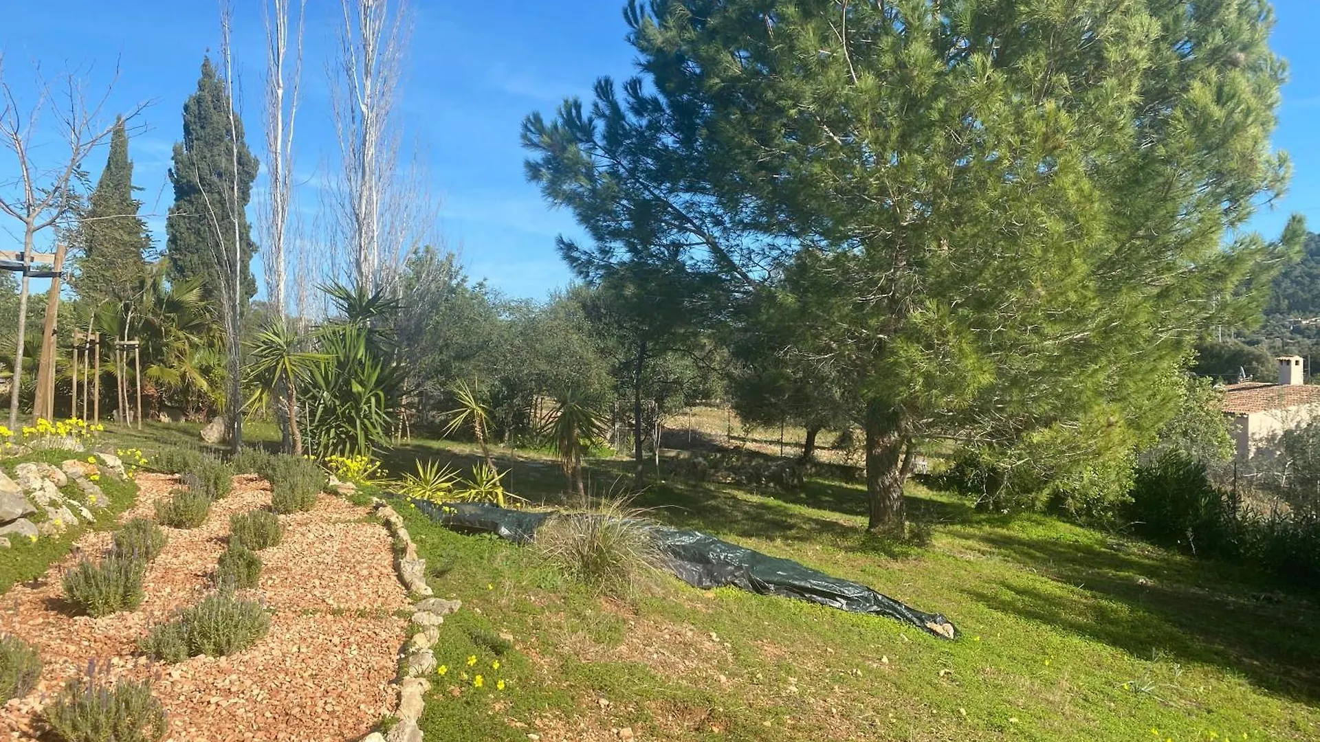 Aires Del Tomir Villa Inca   Inca (Mallorca)